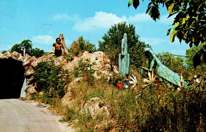 Prehistoric Forest - Vintage Postcard